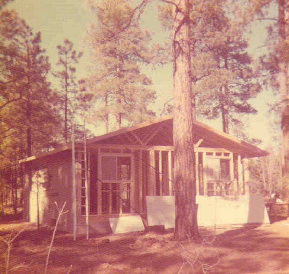 Adair Springs Cabin Пайнтоп-Лейксайд Екстериор снимка